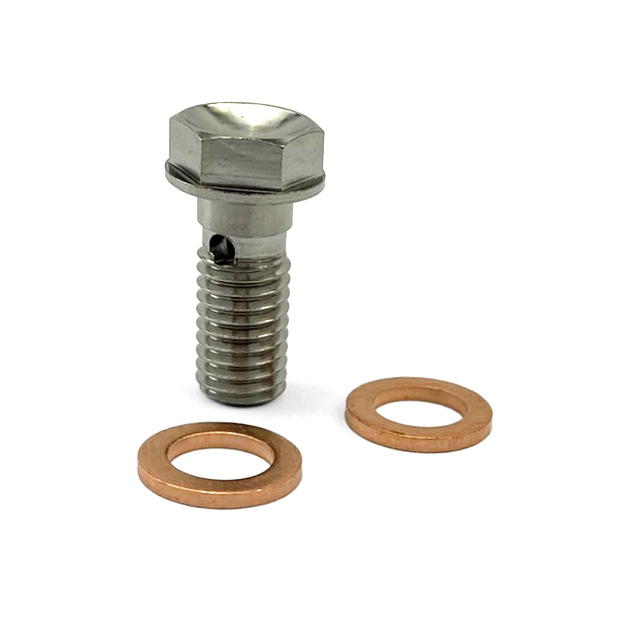 BANJO PRO BOLT M8x1.25mm, TITANIUM GRADE 5 / EACH image 1