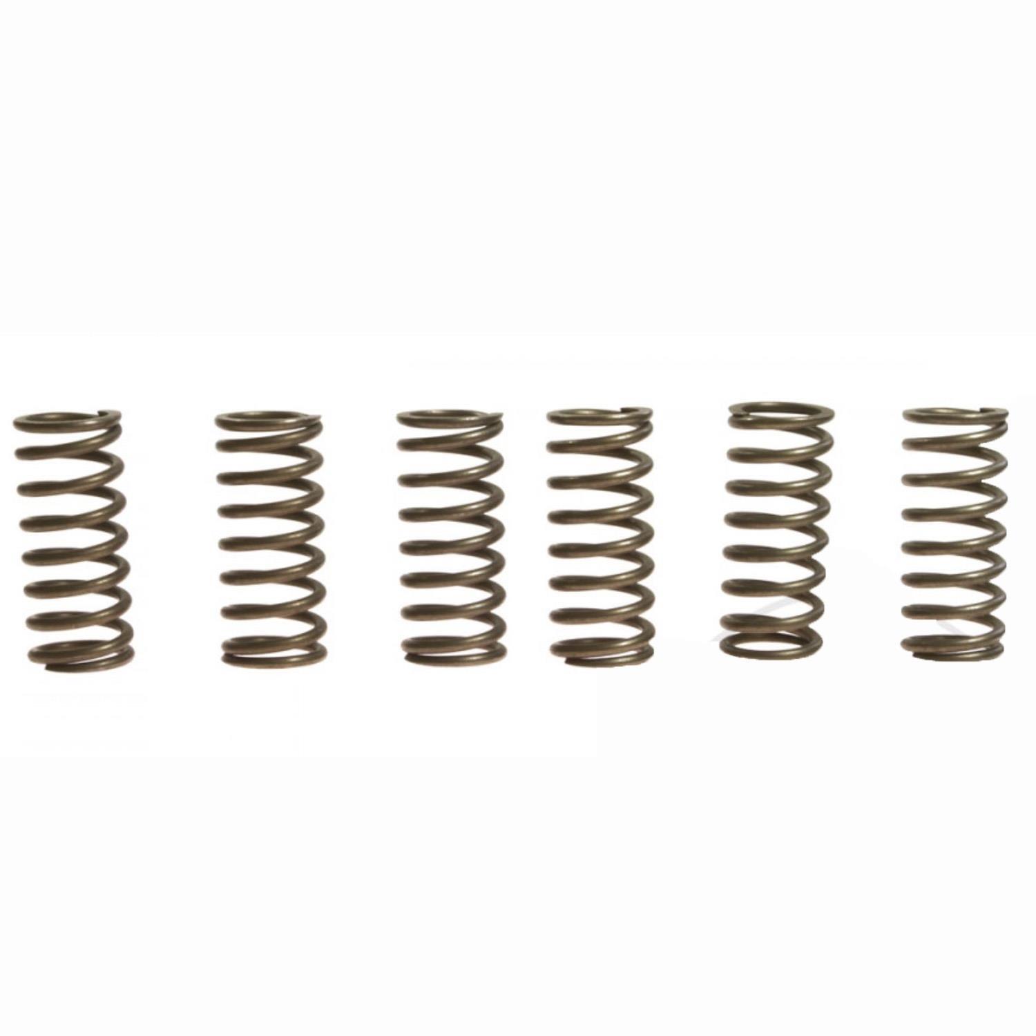 CLUTCH SPRING SET/6 EBC CSK015 image 1