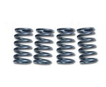 CLUTCH SPRINGS SET/4 EBC CSK022 image 1