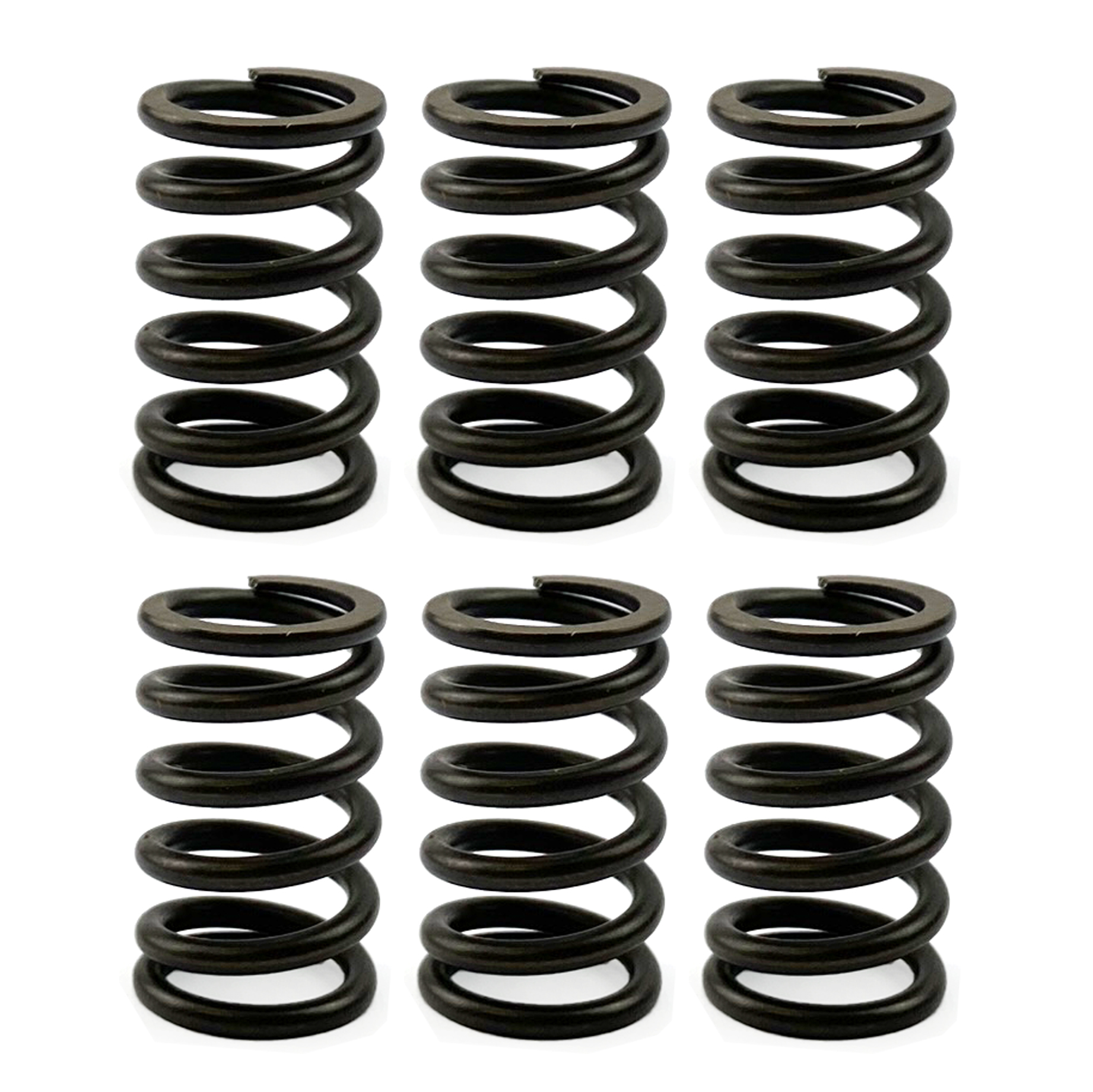 CLUTCH SPRING SET/6 KIT EBC CSK023 image 1