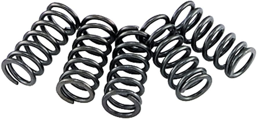 CLUTCH SPRING SET/6 EBC CSK002 image 1