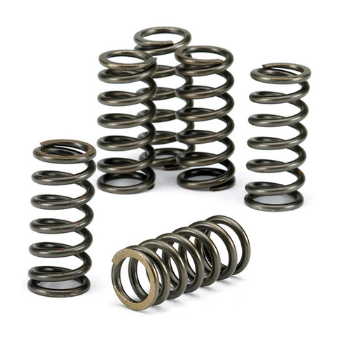CLUTCH SPRING KITSET/6 EBC CSK027 image 1