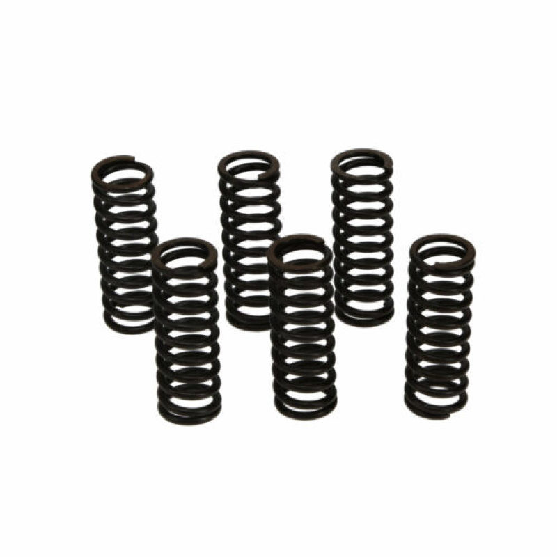 CLUTCH SPRING SET/6 CSK028 image 1