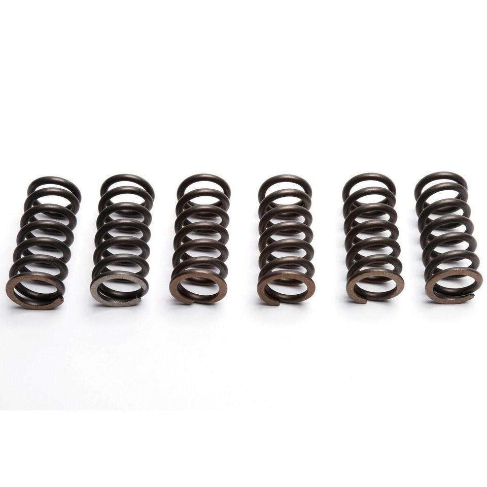 CLUTCH SPRING SET/6 KIT EBC CSK030 image 1