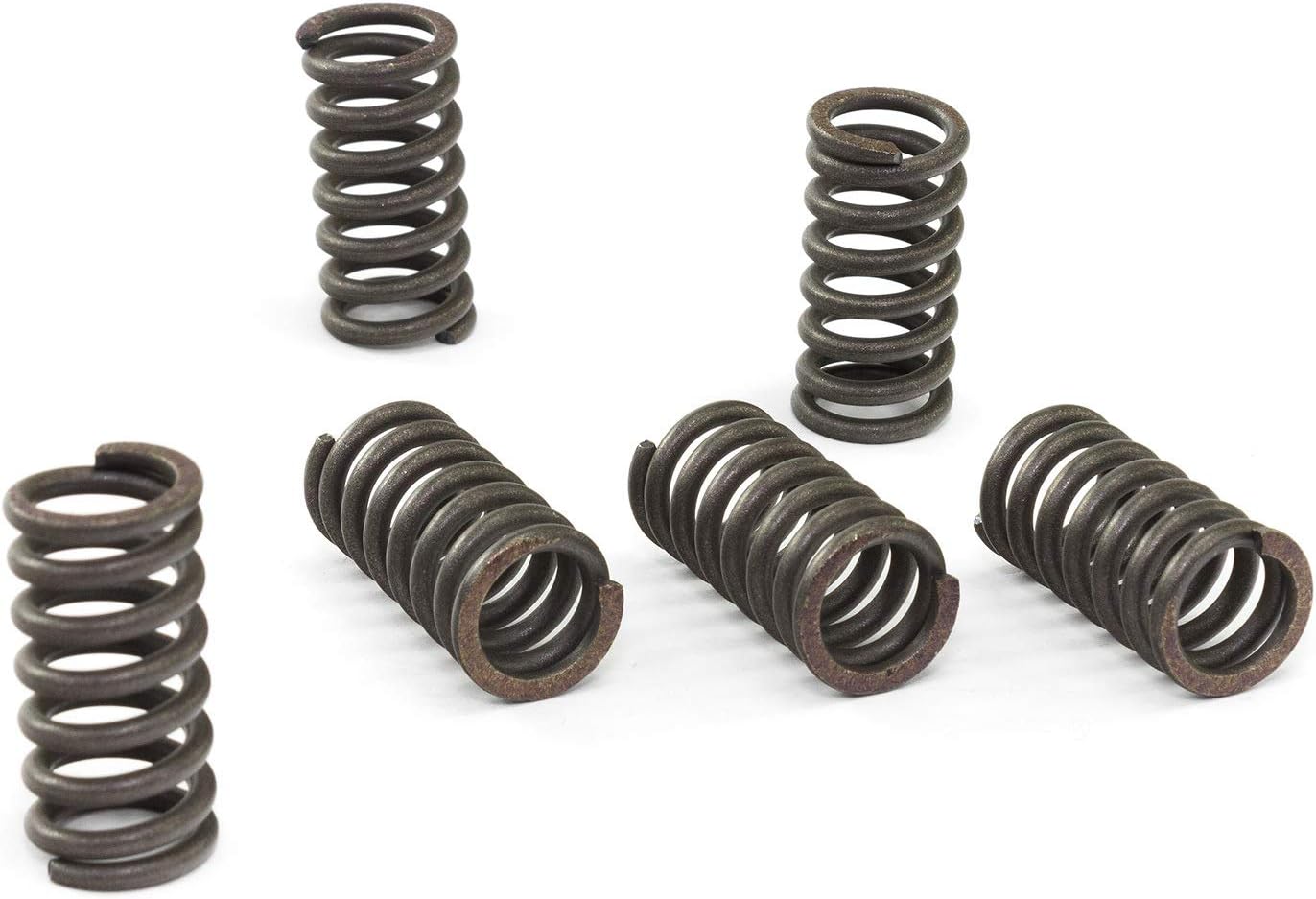 CLUTCH SPRING SET/6 EBC CSK034 image 1