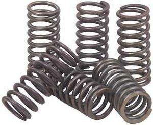 CLUTCH SPRING SET/6 EBC CSK036 image 1