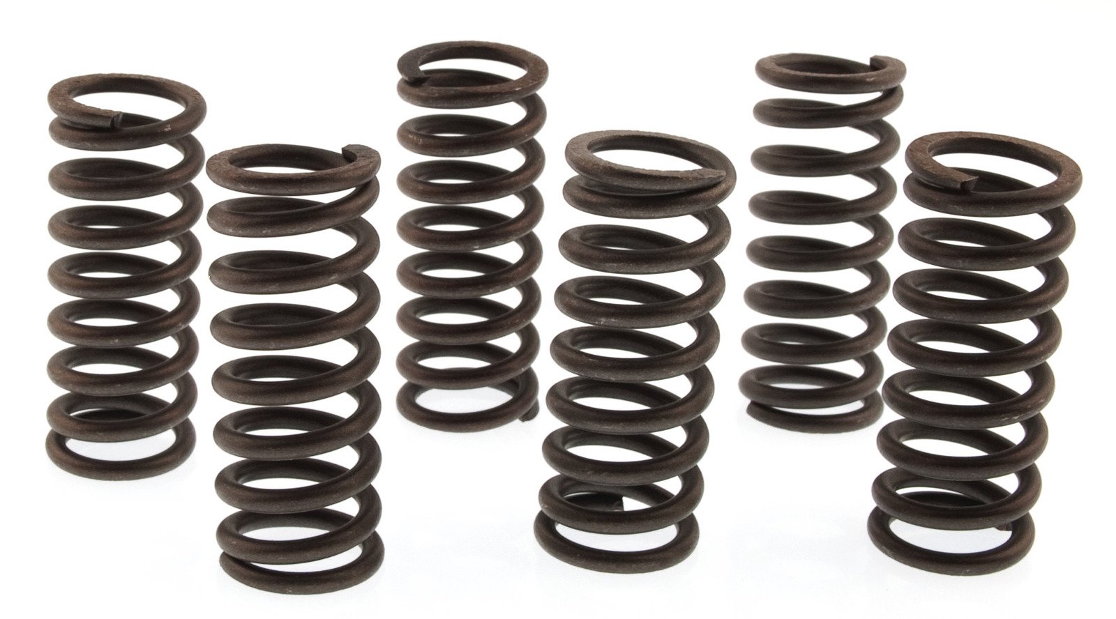 CLUTCH SPRING KIT SET/6 EBC CSK037 image 1