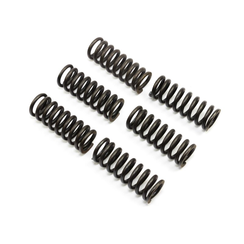 CLUTCH SPRING SET/6 EBC CSK045