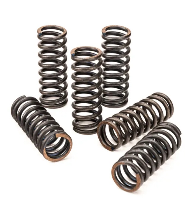 CLUTCH SPRING SET/6 EBC CS0K46 image 1