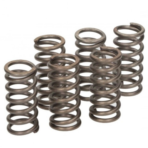 CLUTCH SPRING KIT SET/6 EBC CSK053 image 1
