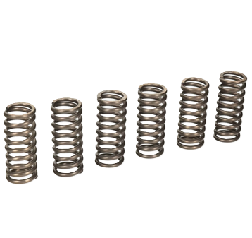 CLUTCH SPRING SET/6 EBC CSK055 image 1