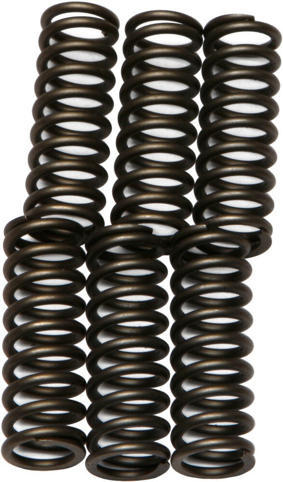 CLUTCH SPRING SET/6 EBC CSK062 image 1