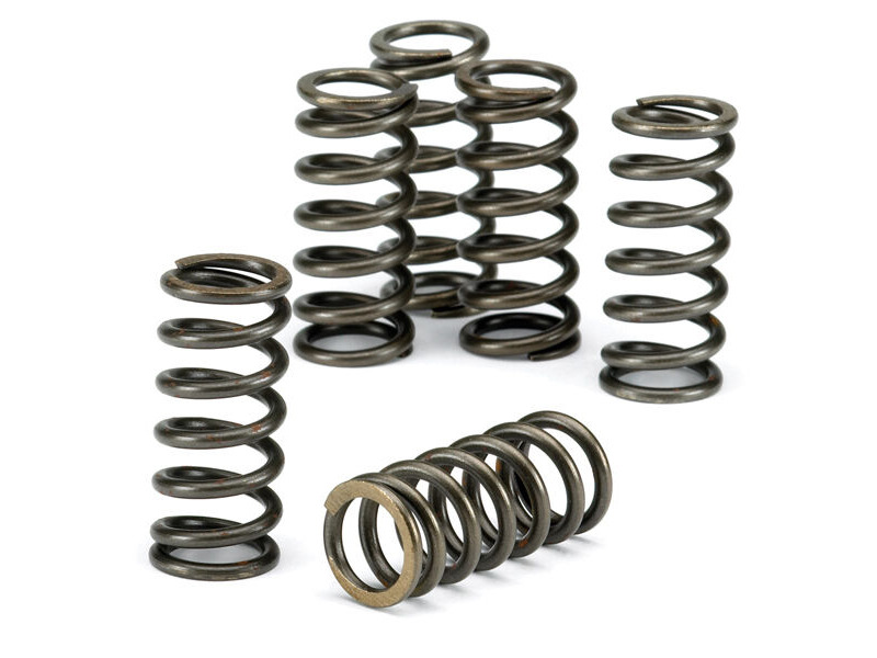 CLUTCH SPRING SET/6 EBC CSK071 image 1