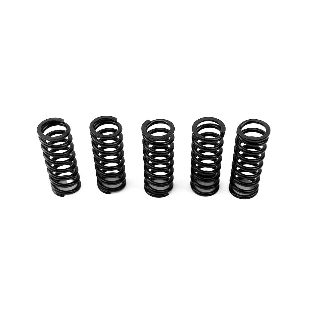 CLUTCH SPRING KIT, PROX 17.CS22031 MADE IN JAPAN thumbnail 3