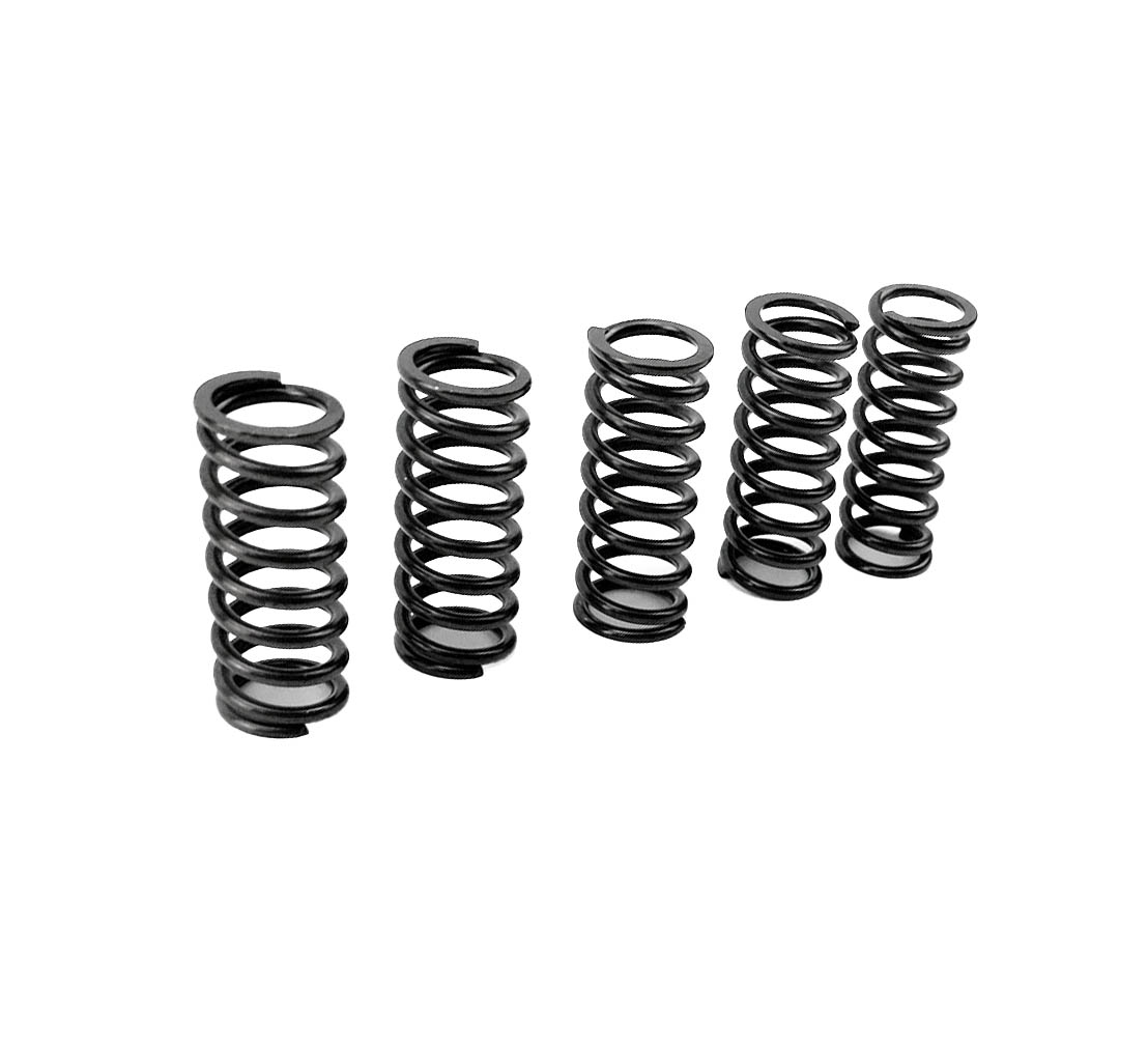 CLUTCH SPRING KIT, PROX 17.CS22031 MADE IN JAPAN image 1