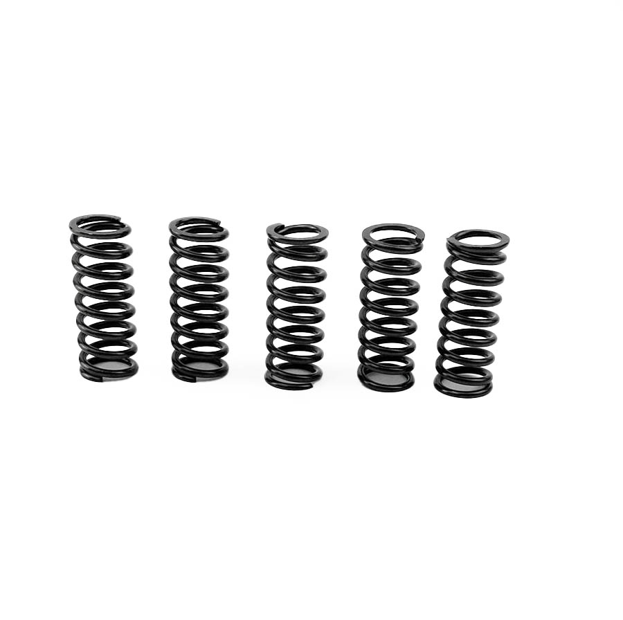 CLUTCH SPRING KIT, PROX 17.CS22031 MADE IN JAPAN thumbnail 2