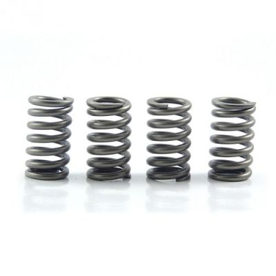 CLUTCH SPRING KIT SET/4 EBC CSK082 image 1