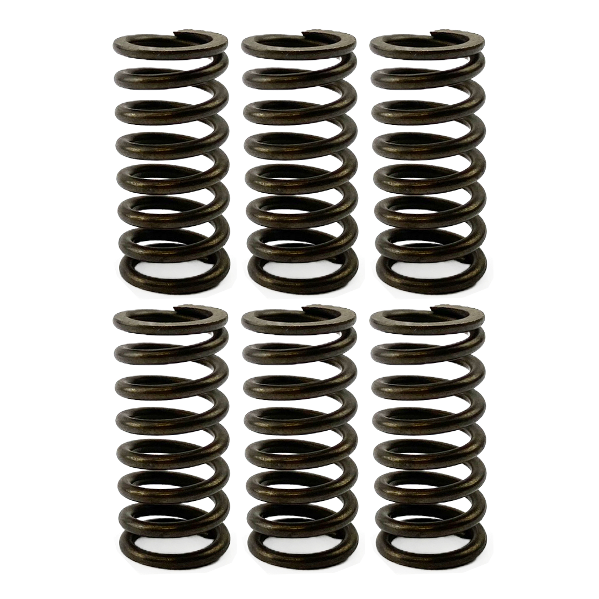 CLUTCH SPRING HD SET/6 [CSK91] image 1