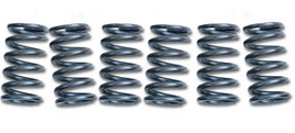 CLUTCH SPRING SET/6 EBC CSK093 image 1