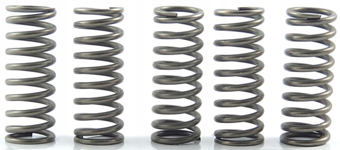 CLUTCH SPRING SET/5 EBC CSK097 image 1