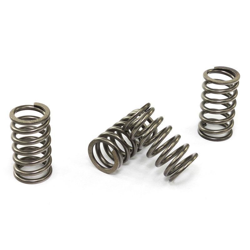 CLUTCH SPRING SET/4 CSK098 image 1