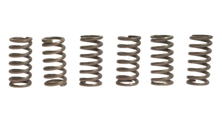 CLUTCH SPRING SET/6 EBC CSK009 image 1