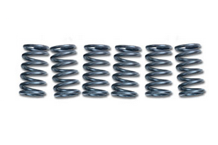 CLUTCH SPRING SET EBC CSK072 image 1