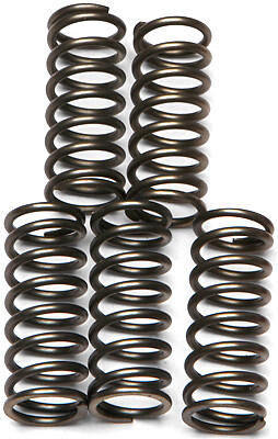 CLUTCH SPRING SET/5 EBC CSK121