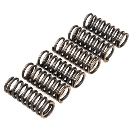 CLUTCH SPRING SET/6 EBC CSK120 image 1