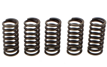 CLUTCH SPRINGS SET/5 EBC CSK137 image 1