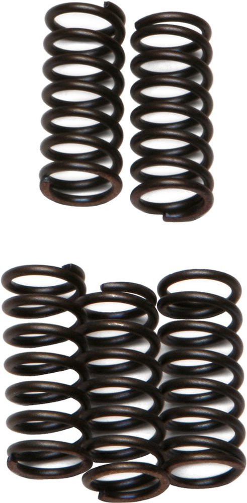 CLUTCH SPRINGS SET/5 EBC CSK132 image 1