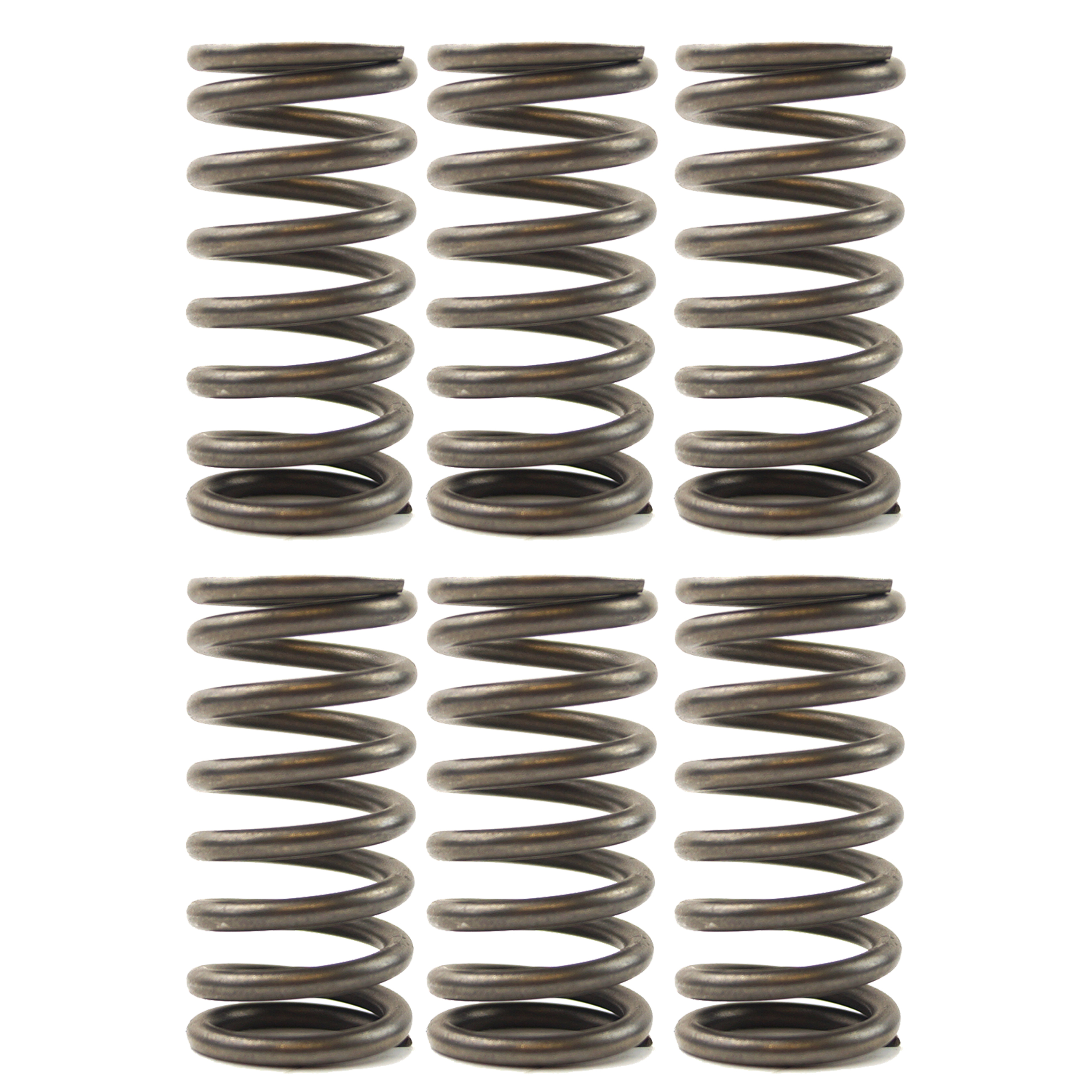 CLUTCH SPRINGS SET/6 EBC CSK136 image 1