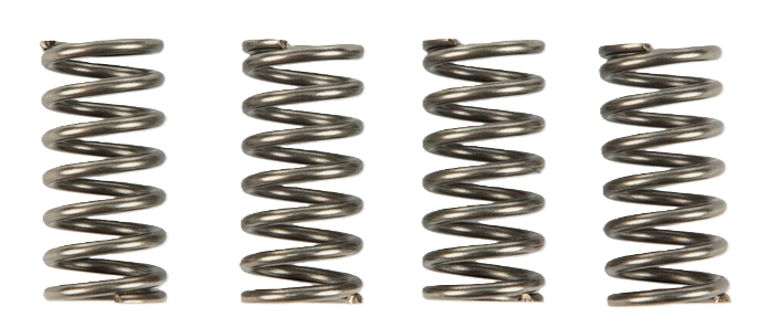 CLUTCH SPRING SET/4 EBC CSK140 image 1