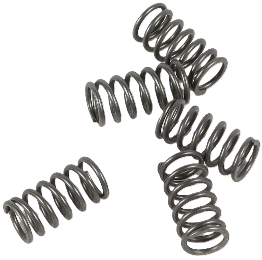 CLUTCH SPRINGS SET/5 EBC CSK116 image 1