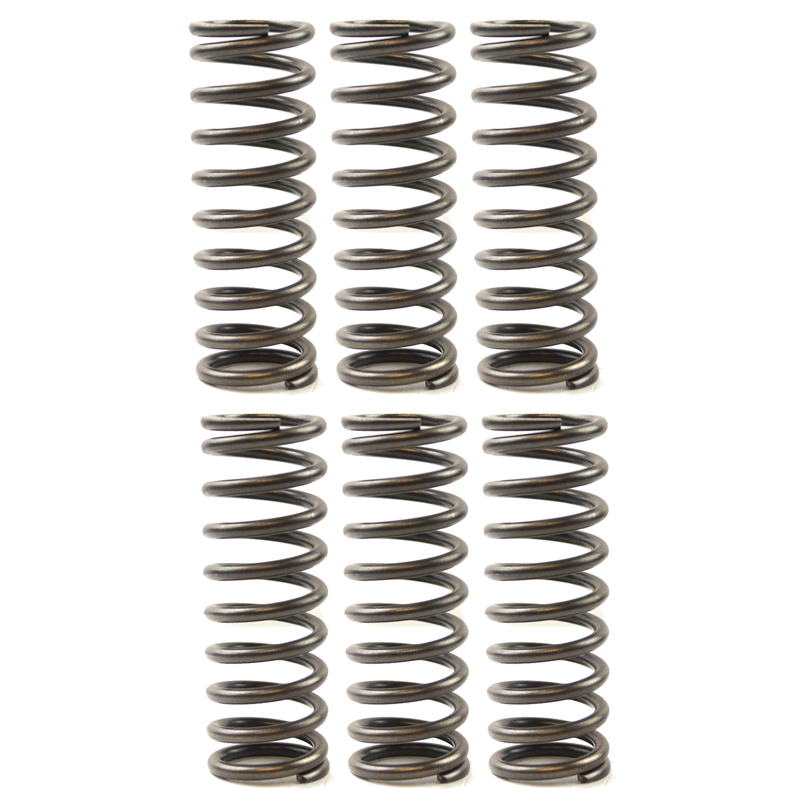 CLUTCH SPRING SET/6 EBC CSK119 image 1