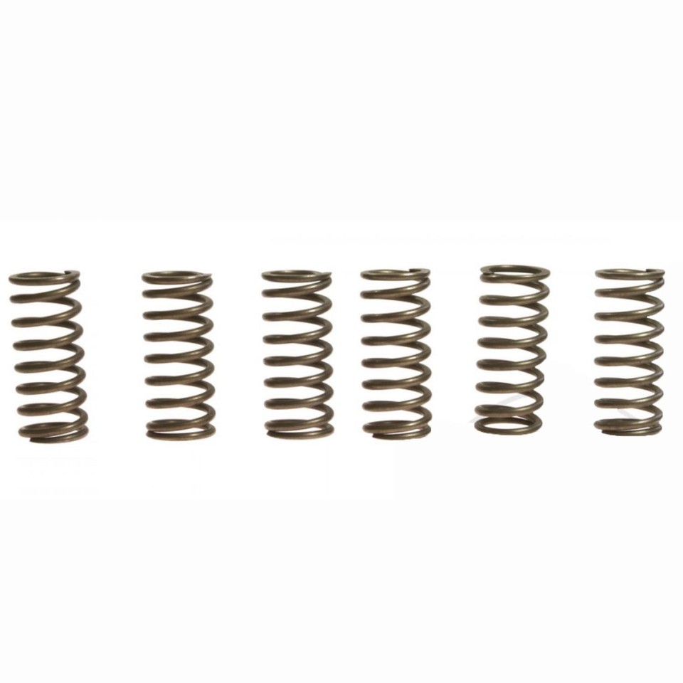 CLUTCH SPRINGS SET/6 EBC CSK141 image 1