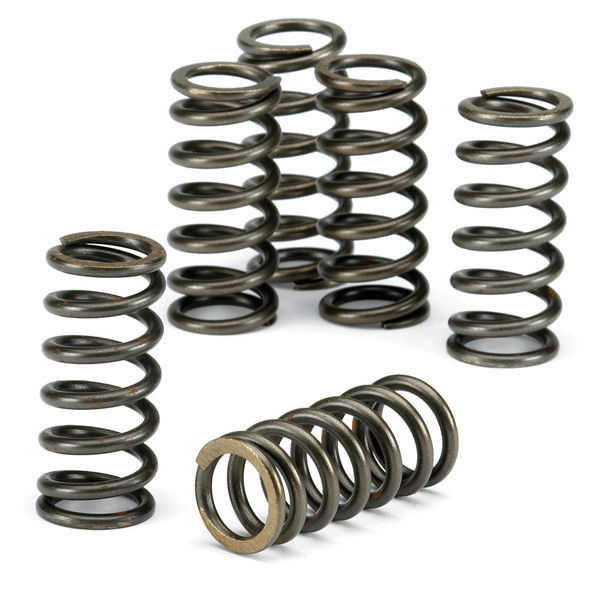 CLUTCH SPRING SET EBC CSK124