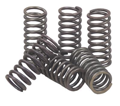CLUTCH SPRINGS SET/6 EBC CSK144 image 1