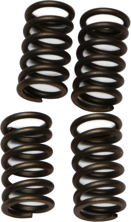 CLUTCH SPRINGS SET/4 EBC CSK147 image 1