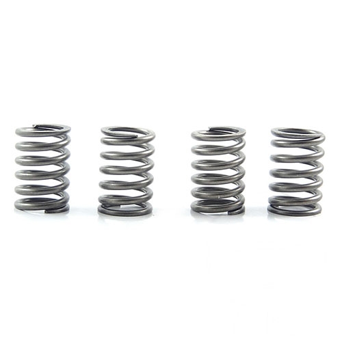 CLUTCH SPRINGS SET/4 EBC CSK151 image 1