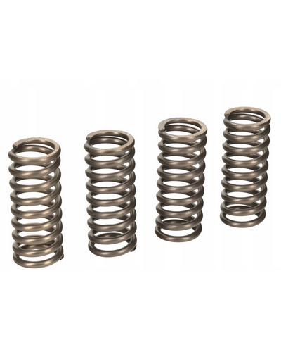 CLUTCH SPRINGS SET/4 EBC CSK155 image 1