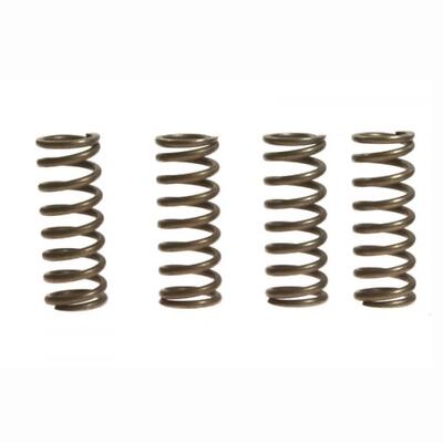 CLUTCH SPRINGS SET/4 EBC CSK157 image 1