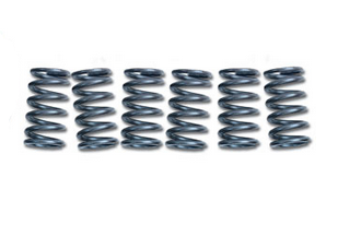 CLUTCH SPRINGS SET/6 EBC CSK163 image 1