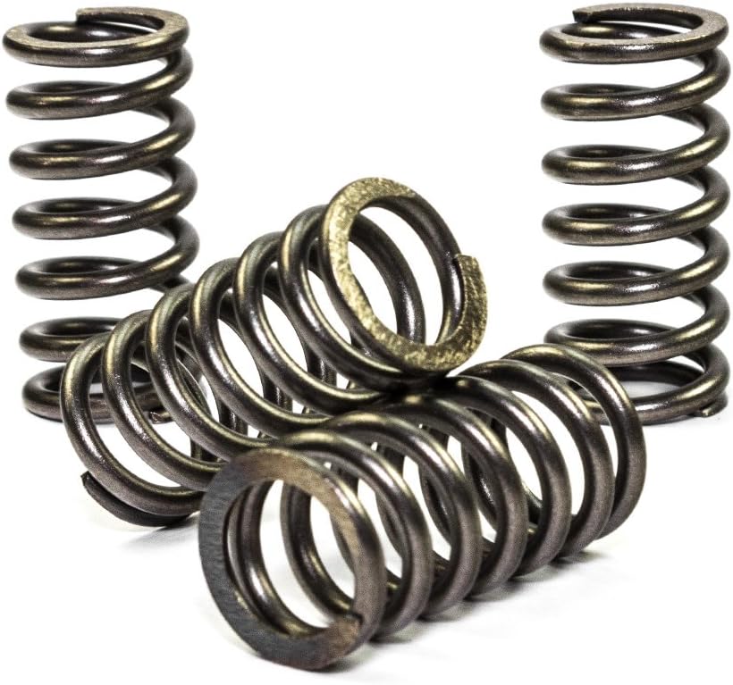 CLUTCH SPRINGS SET/4 EBC CSK105 thumbnail 2
