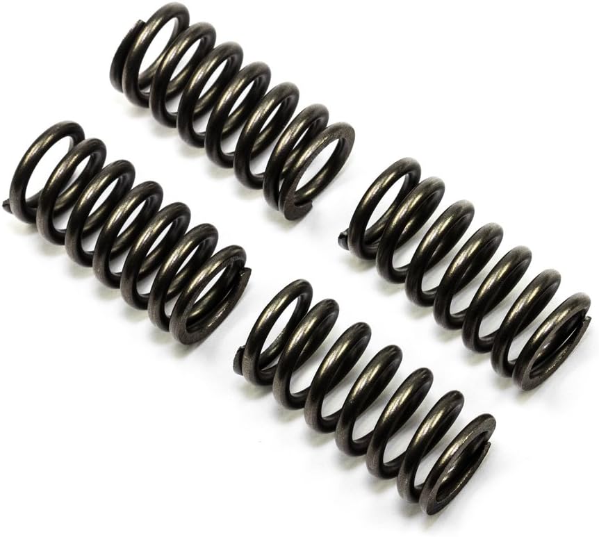 CLUTCH SPRINGS SET/4 EBC CSK105 image 1