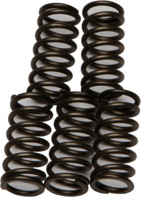 CLUTCH SPRINGS SET/5 EBC CSK176 image 1