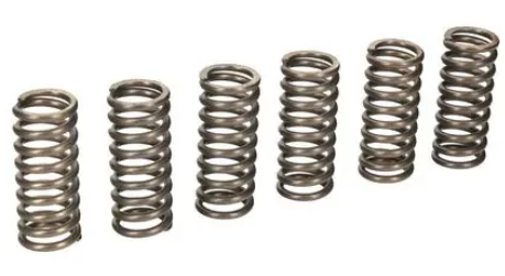 CLUTCH SPRINGS SET/6 EBC CSK178 image 1