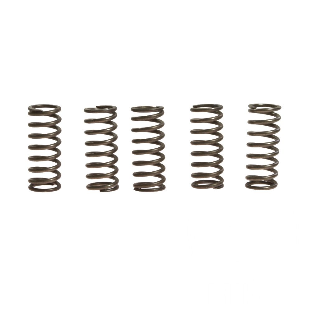 CLUTCH SPRINGS SET/5 EBC CSK182 image 1