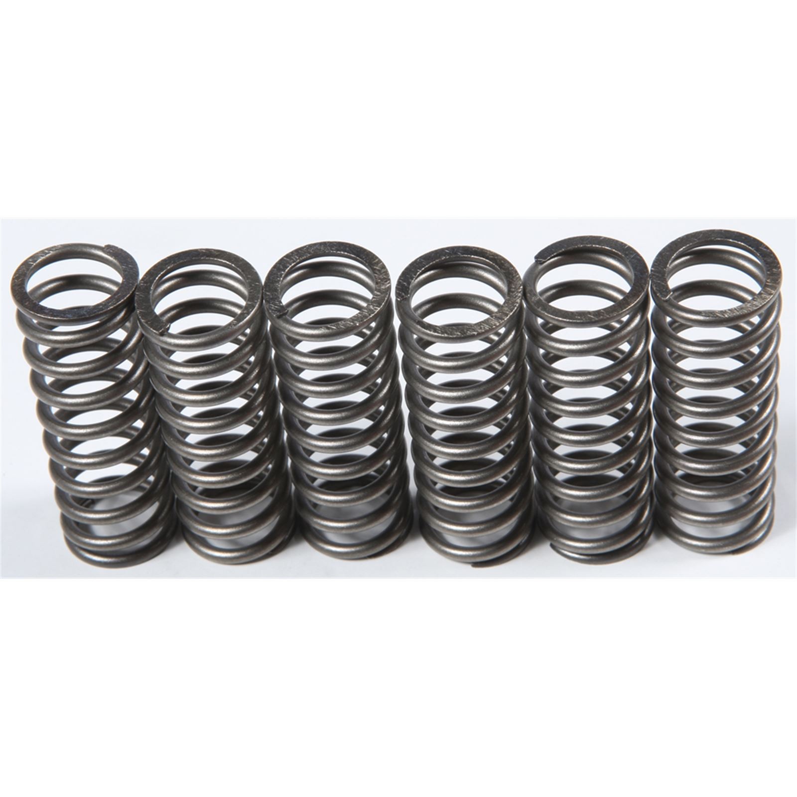 CLUTCH SPRINGS SET/6 EBC CSK201 image 1