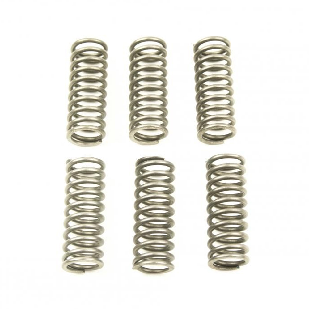 CLUTCH SPRINGS SET/6EBC CSK227 image 1
